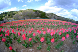 産直地域イメージ